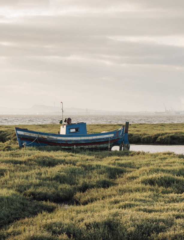 plush74 creative community portugal 23