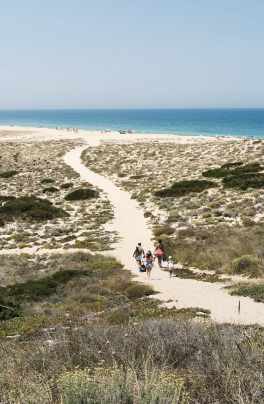 plush74 creative community portugal 25