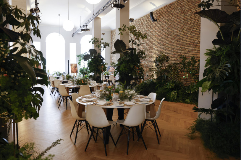 peluche74 casa del tesoro 10