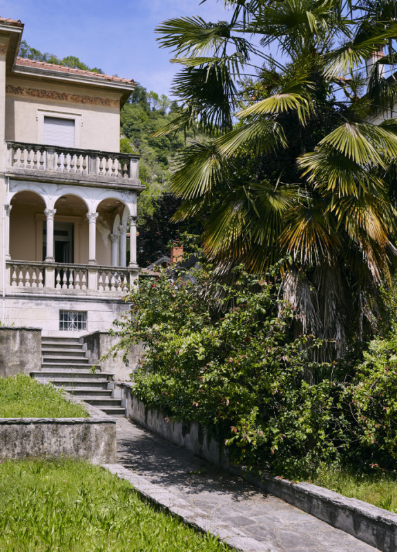 plush74 damalisco 1(1)