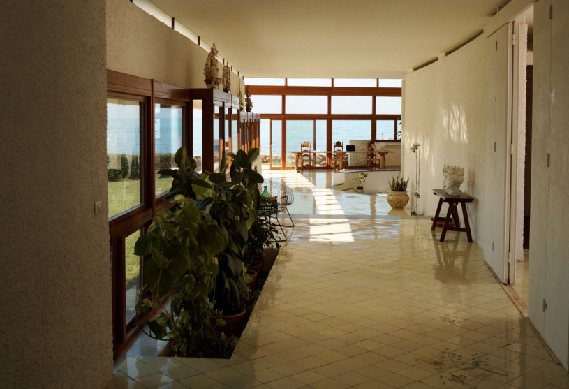 felpa74 damalisco 14(1)