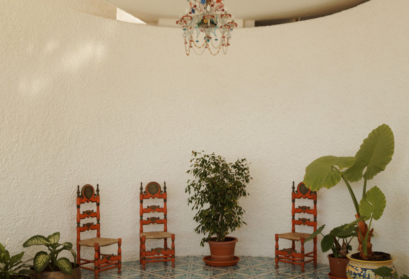 felpa74 damalisco 15(1)