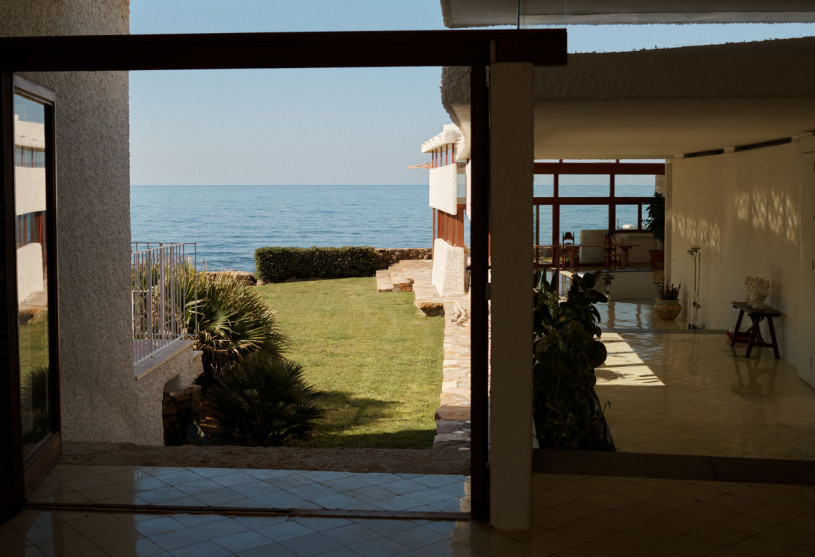 felpa74 damalisco 18(1)