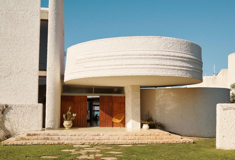 felpa74 damalisco 28