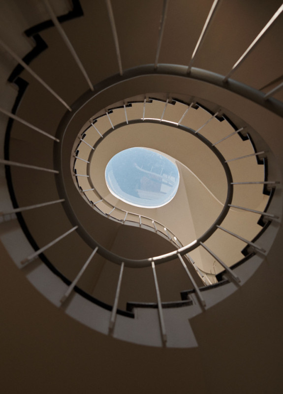 felpa74 damalisco 8(1)