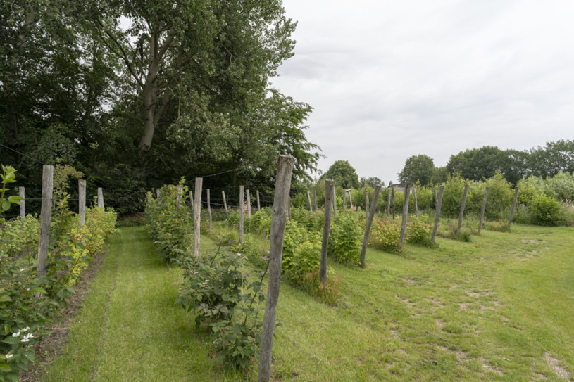 plush74 design studio netherlands 80