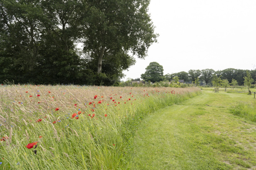 plush74 design studio netherlands 83