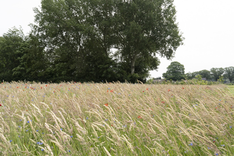 plush74 design studio netherlands 86