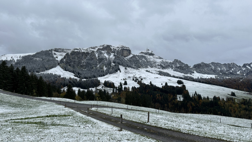 plush74 farmhouse appenzell 20