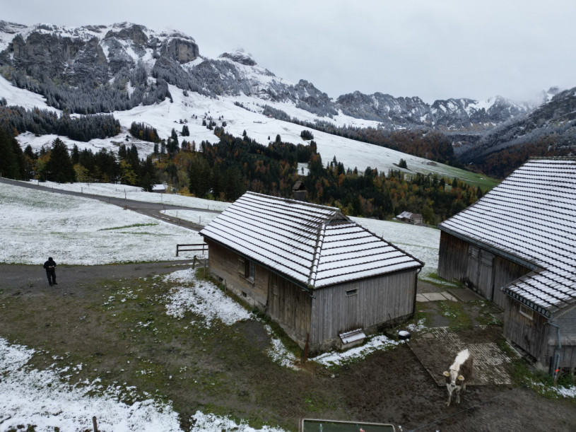 plush74 farmhouse appenzell 46