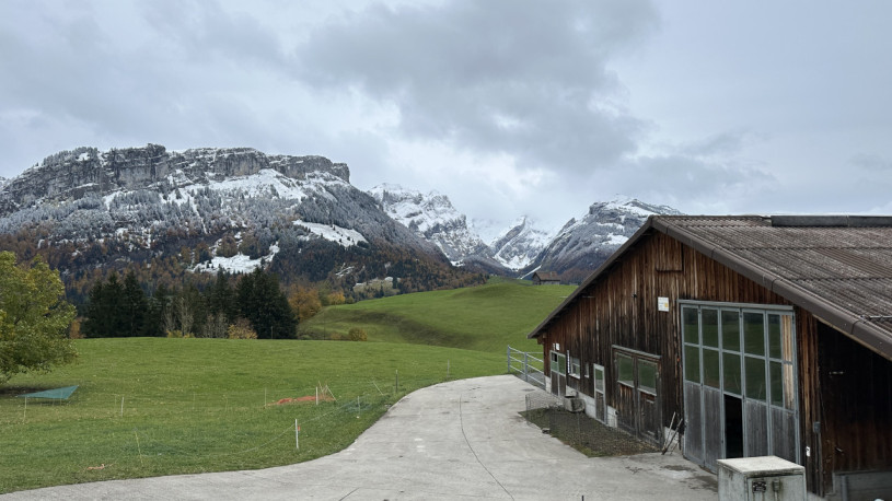 plush74 farmhouse appenzell 9 (4)