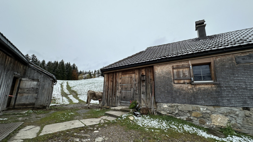 plush74 farmhouse appenzell 9 (5)