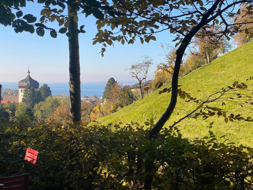 plush74 felsen 7(1)