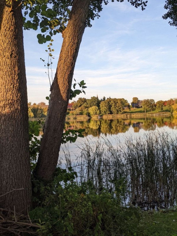 peluche74 película foto lugar del evento berlín alemania 00022