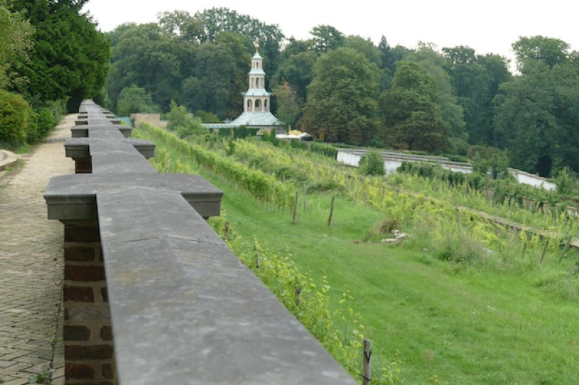 plush74 film photo event location berlin germany vineyard estate 5