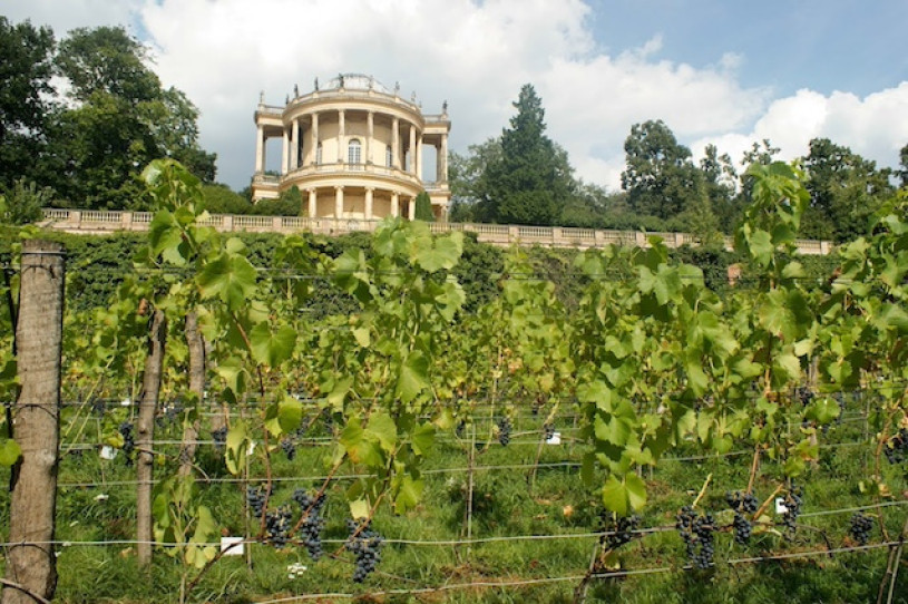 plush74 film photo event location berlin germany vineyard estate 6