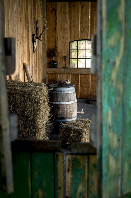 plush74 film photo event location germany niedersachsen barn 9