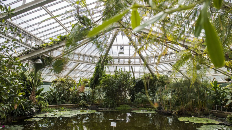 plush74 film photo event location greeenhouse botanical garden belgium meise1