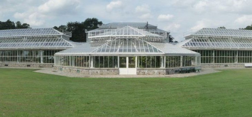 plush74 film photo event location greeenhouse botanical garden belgium meise10