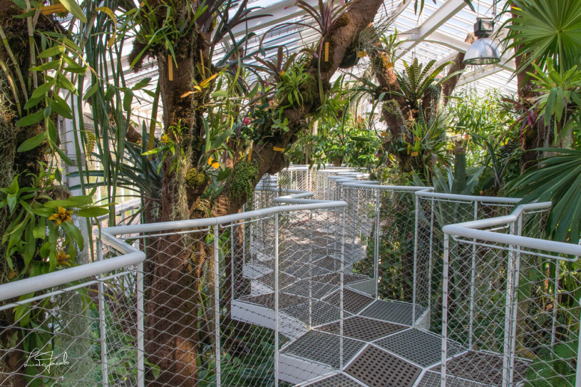 plush74 film photo event location greeenhouse botanical garden belgium meise9