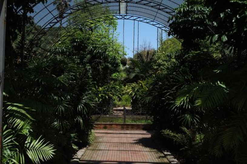 plush74 film photo event location greeenhouse botanical garden valencia spain12