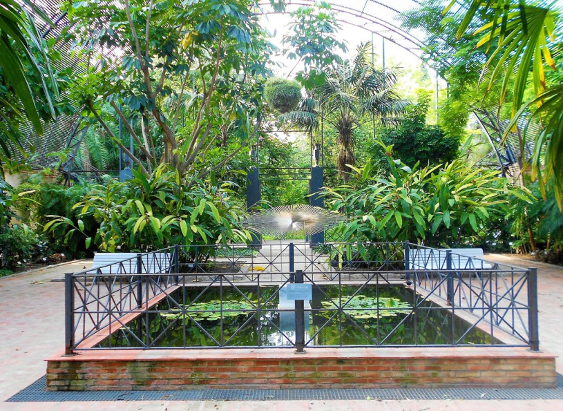 plush74 film photo event location greeenhouse botanical garden valencia spain7