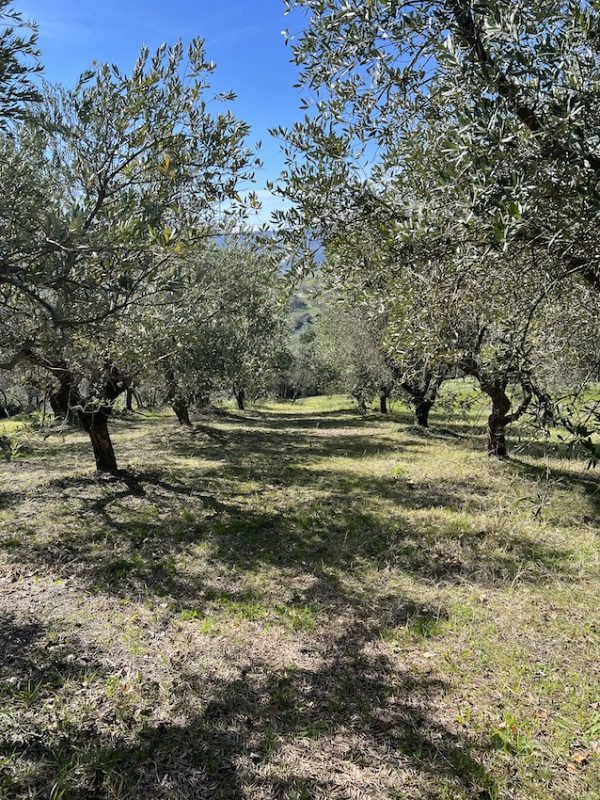 pluche74 film foto evenement locatie italie villa 38