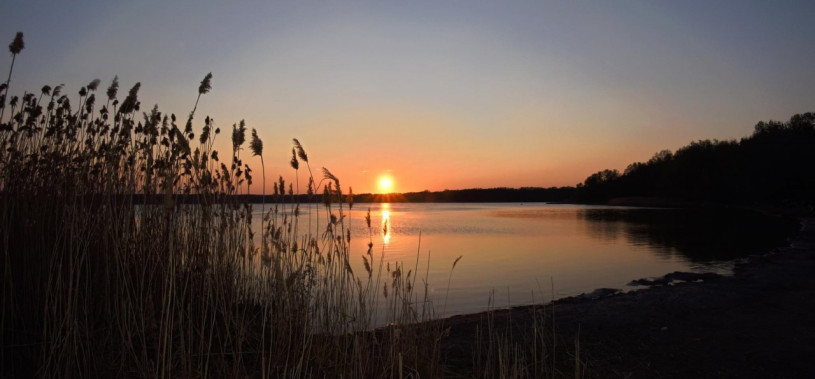 plüsch74 film foto veranstaltungsort strandbad natur rangsdorf deutschland81 (2)