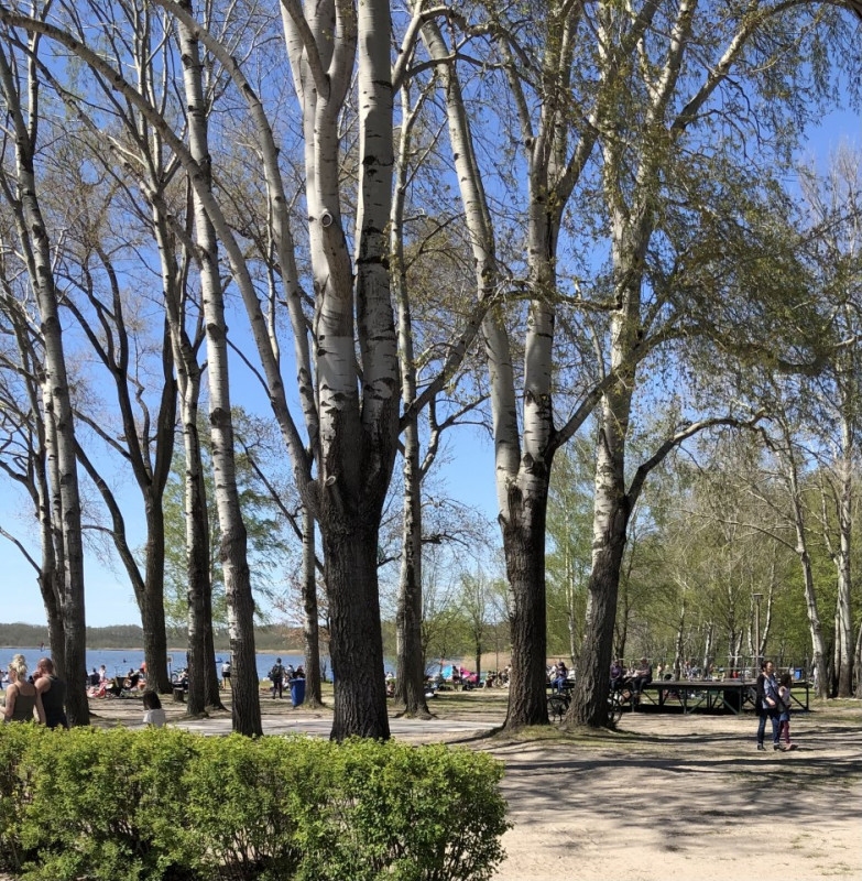 plush74 film foto veranstaltungsort strandbad natur rangsdorf deutschland82 (2)