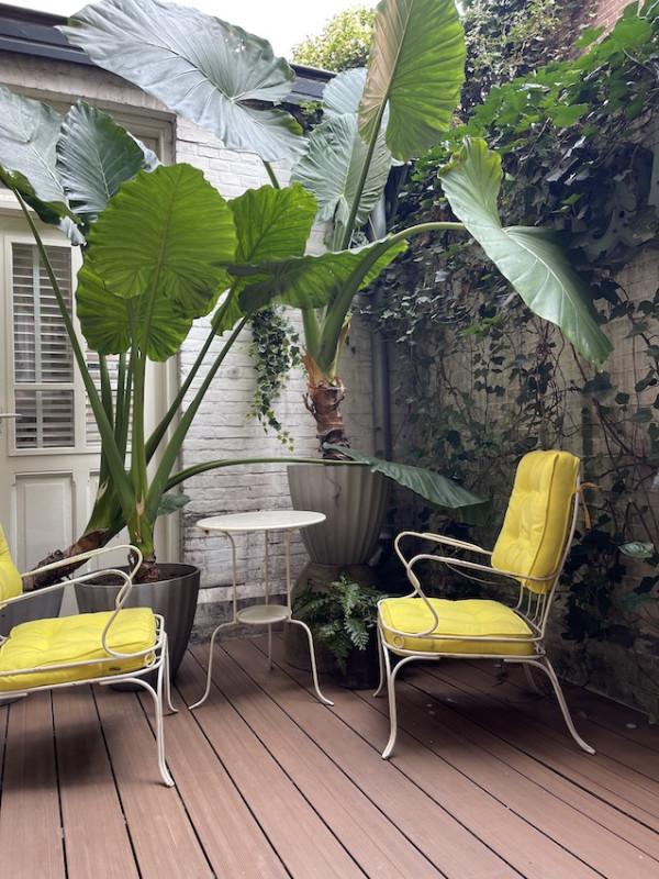 plush74 film foto veranstaltungsort nehterlands amsterdam 12