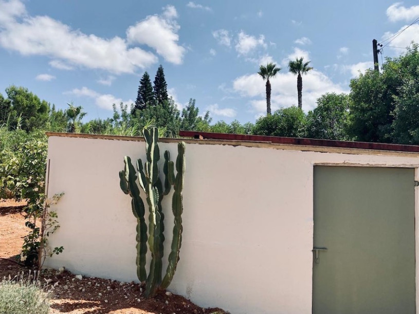 plush74 film photo location villa ibiza00014