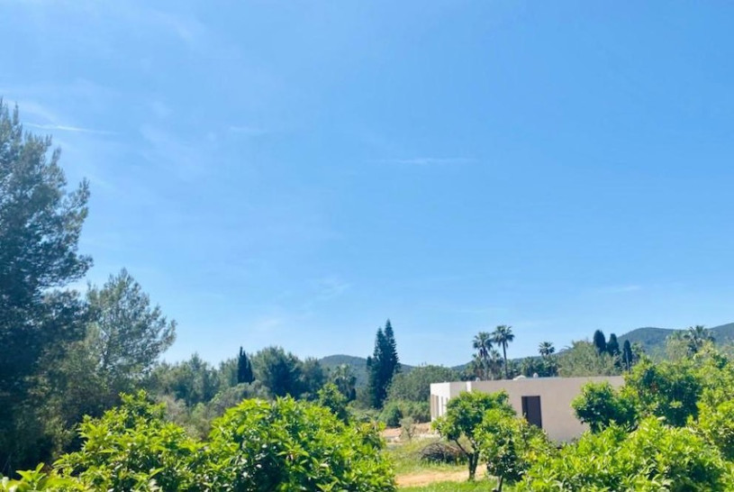 plush74 film photo location villa ibiza00048