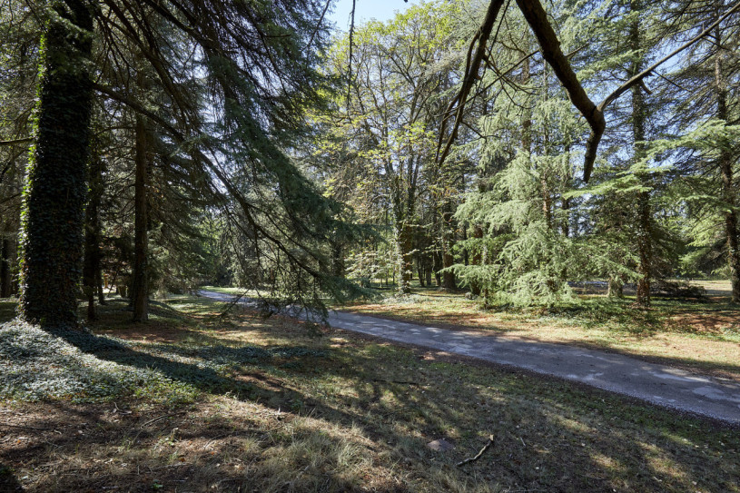 plush74 finca e1 9 (1)