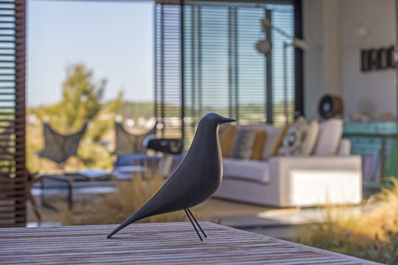 felpa74 retiro formosa 30(1)