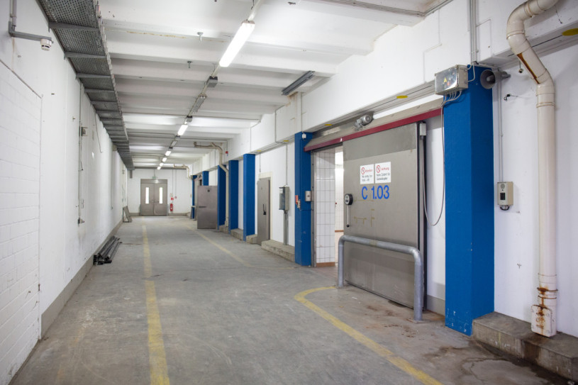 plush74 gewerbepark industrial halls 13