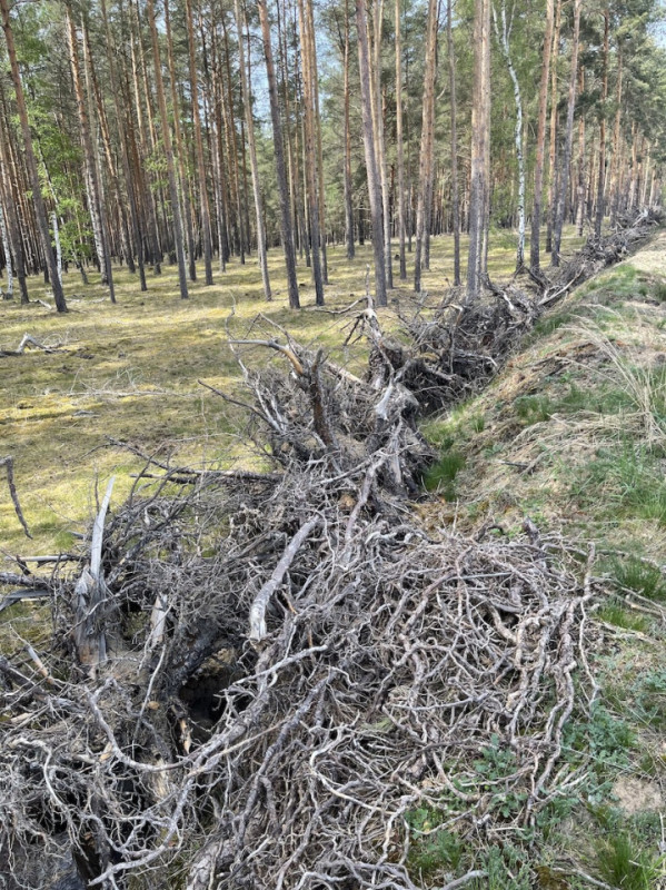 plush74 kiesgrube berlin 27