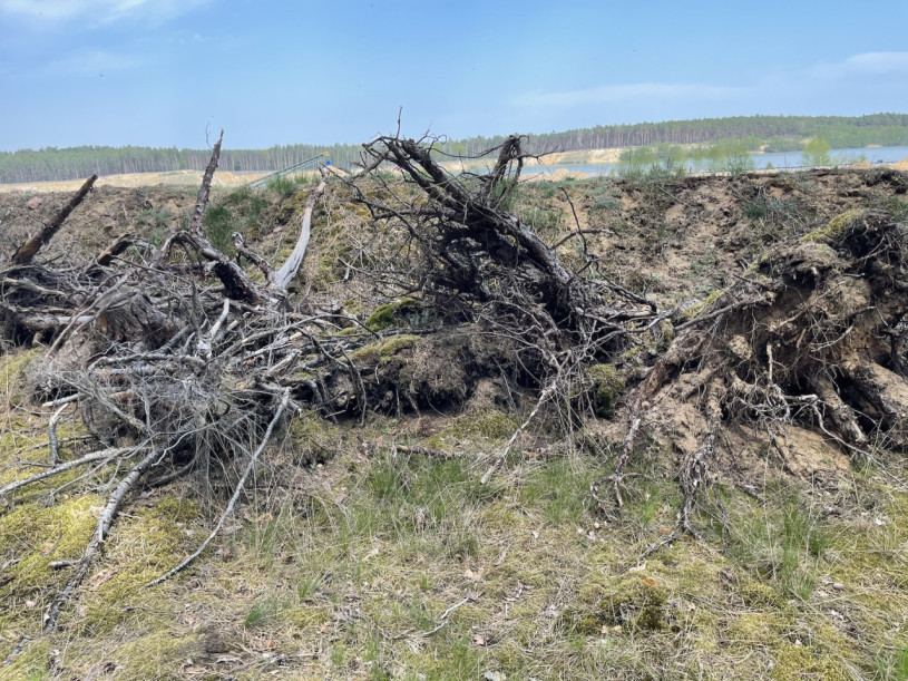 plush74 kiesgrube berlin 29