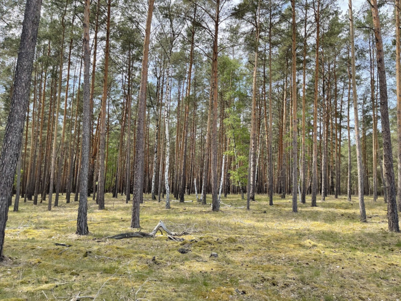 plush74 kiesgrube berlin 32 (1)