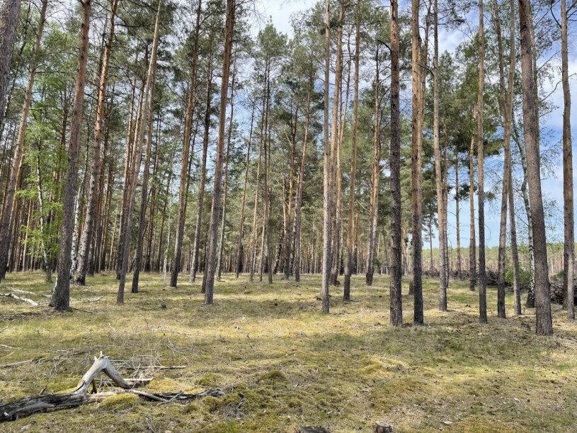 plush74 kiesgrube berlin 32 (2)