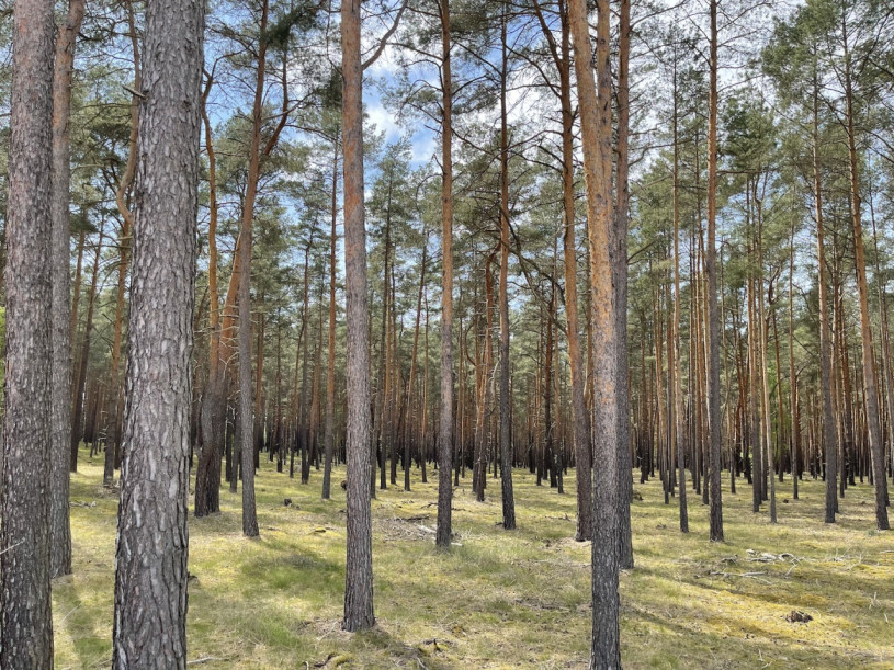 plush74 kiesgrube berlin 32