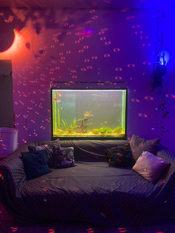 peluche74 spazio eventi curativi 30 (1)