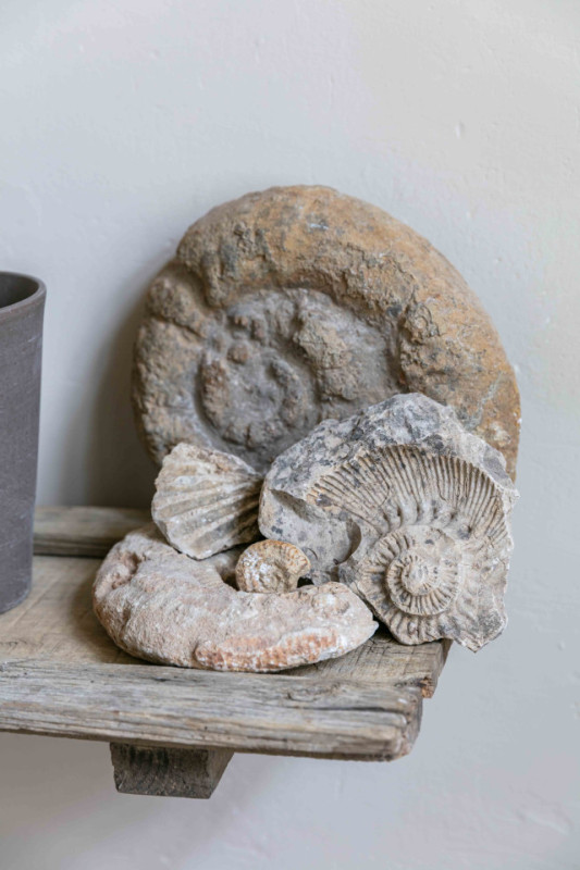 plush74 historisches französisches chcteau in auge 41