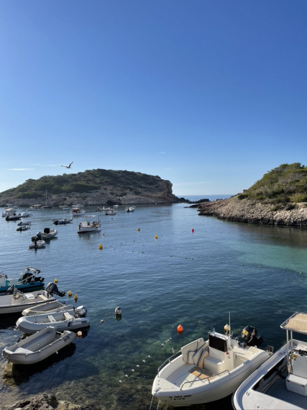 plush74 ibiza beaches 1