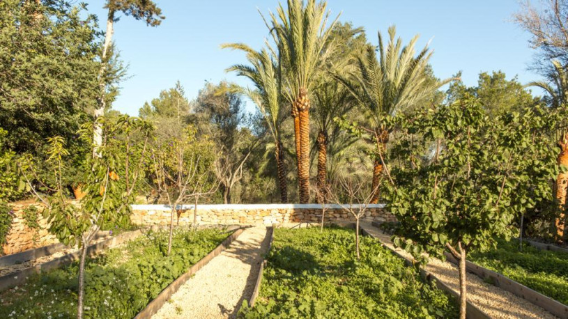 pluche74 ibiza villa rustieke locatie foto film00020