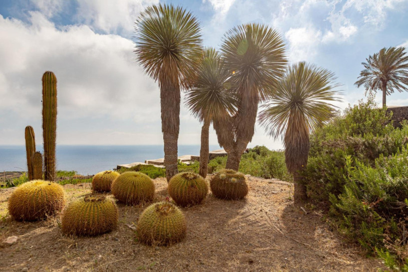 plush74 Inselvilla Traum 6(1)