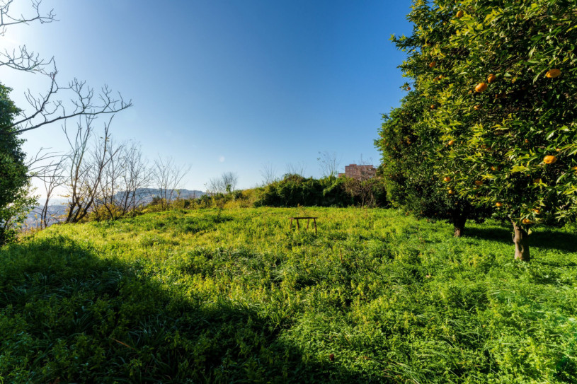 plush74 italian 70039s apartment 26(1)