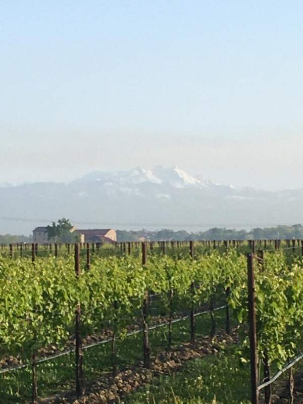 plush74 italian palazzo 53 (1)