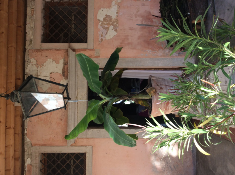 plush74 italian palazzo 57 (1)