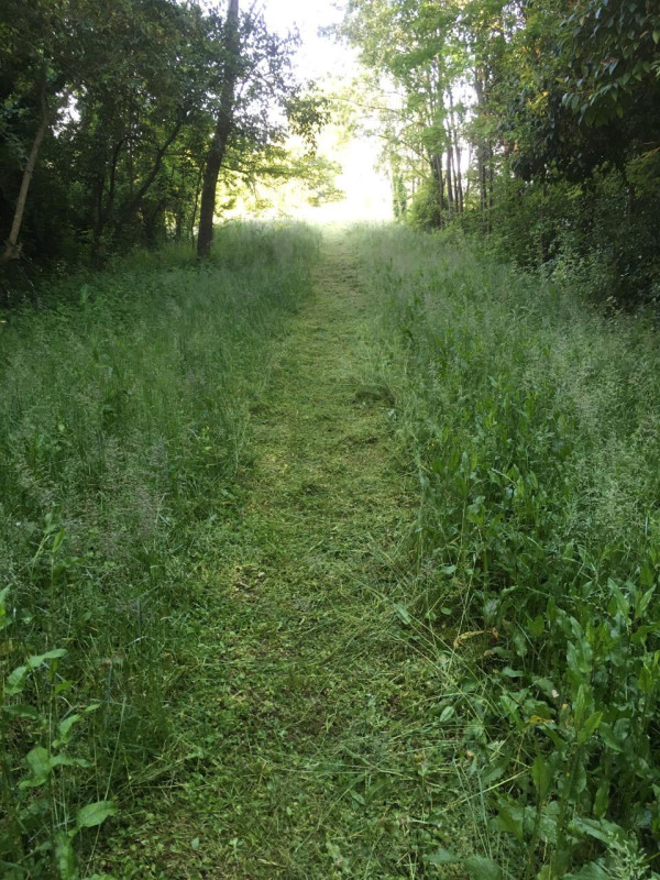 plush74 italian palazzo 91 (1)