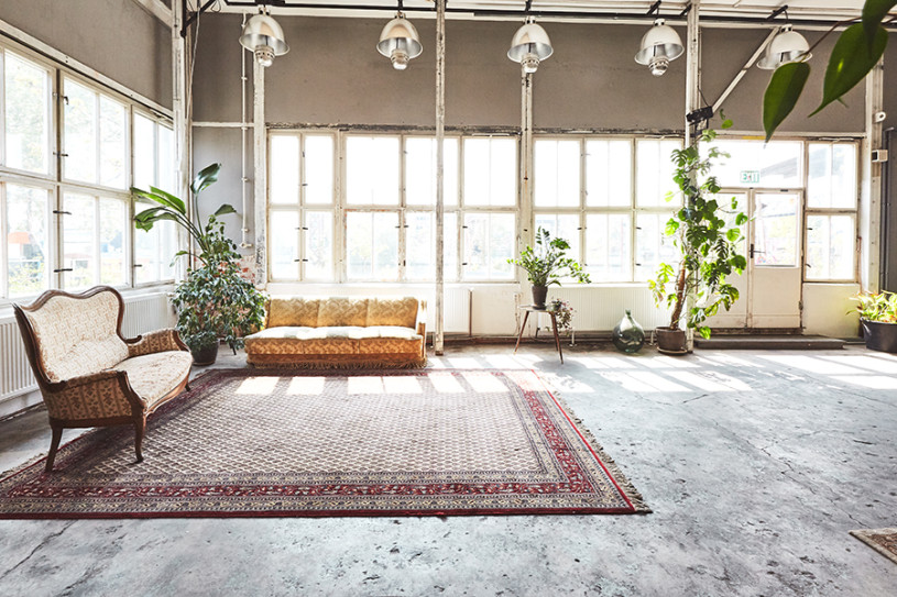 pluche74 kaos berlijn 3